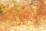 Polished Cherry Creek Jasper - China #318961-1